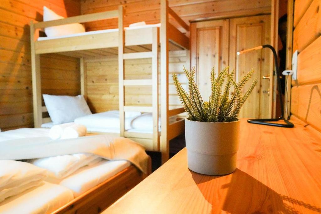 Edelweiss Lodge Lachtal I Self Check-In Eksteriør bilde
